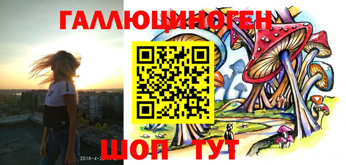 Холмск  Галлюциногенные грибы Cubensis  Вход с VPN 