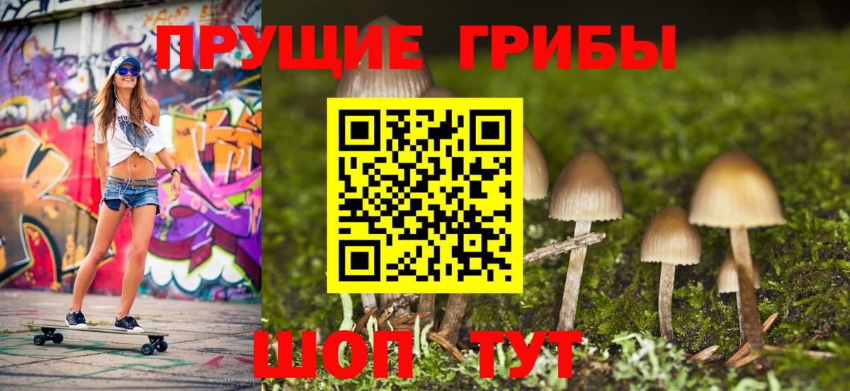 Галлюциногенные грибы Cubensis Холмск